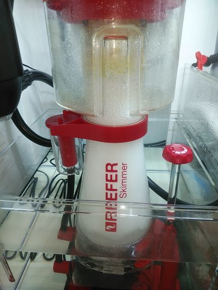 レッドシープロテインスキマー【Red Sea REEFER Skimmer 300】の使用感 