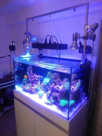2台 珊瑚水槽LEDライト ブラックボックス PSE技術基準適合 プリズムレンズ