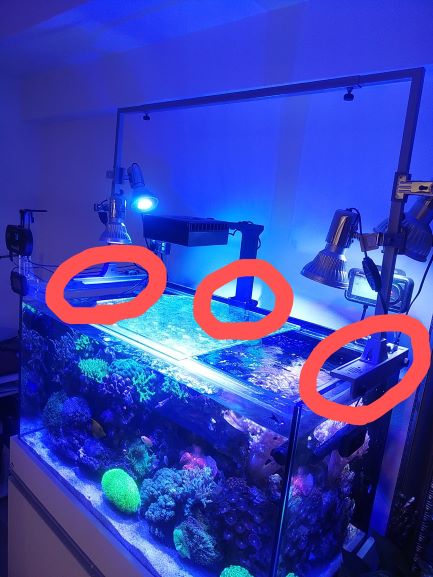 リーフLED REEF LED 50 Redsea本体 混ぜよ マウントアーム 